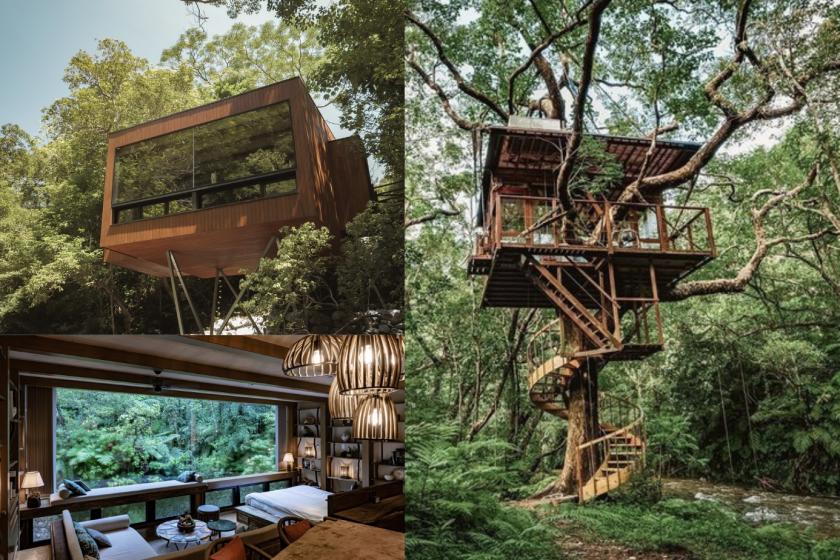 Treeful Treehouse Sustainable Resort