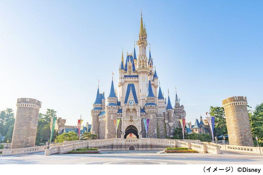 【室数限定★チェックアウト日入園】◇素泊り◇東京ディズニーランド®1デーパスポート大人2名様分 購入権利付き♪