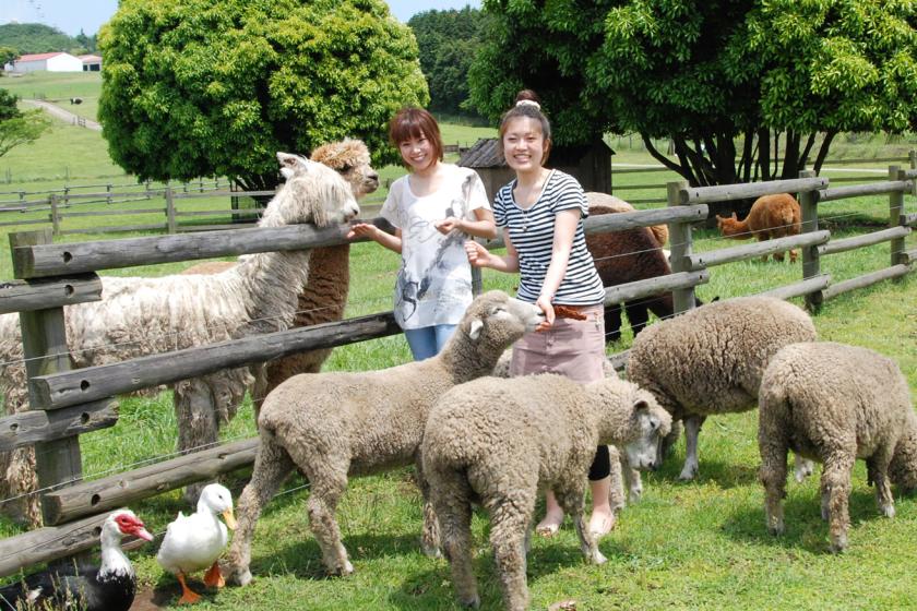 [Mother Farm ticket included] Adults and children will be very satisfied♪ 1 night breakfast buffet included [ECO Pro]