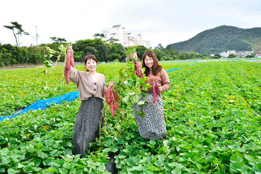 【秋の収穫祭】鳴門金時芋掘り体験で秋を満喫＜お子様不可のお部屋タイプ＞