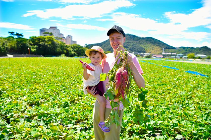 【秋收节】鸣人金时挖土豆体验，享受秋天