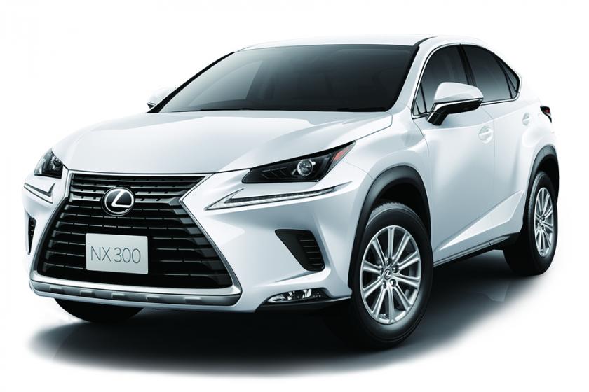 [Luxury car / LEXUS SUV with rent-a-car] Enjoy a healing drive that feels nature Premium Stay ☆ 彡 (evening breakfast included)