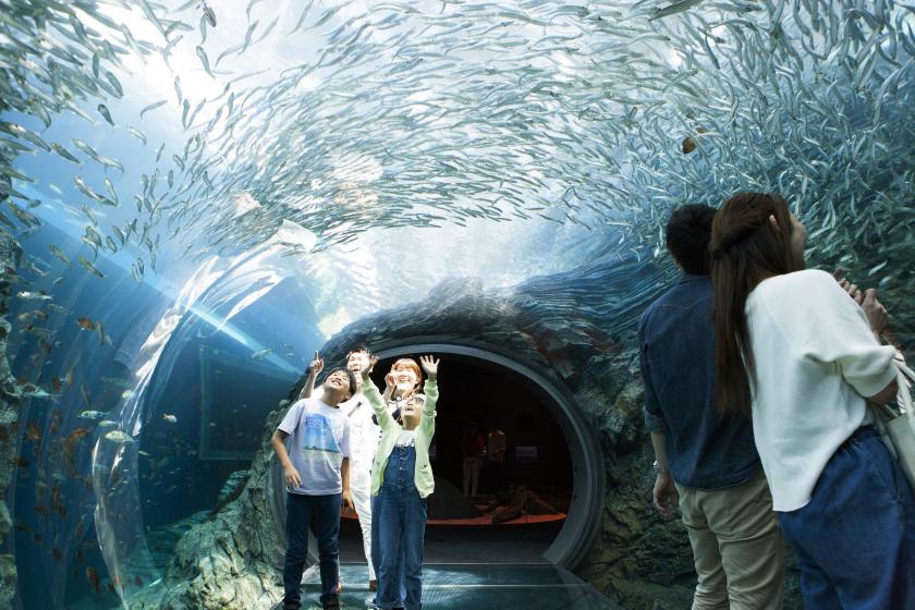 【うみがたり入場券付き】　今年の夏は水族館を堪能！大人も子供も楽しめるライムリゾートの2食付