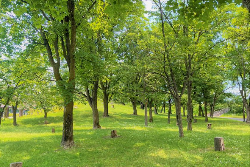 2023 全国旅行支援【HOKKAIDO LOVE！割】　専用プラン　◇朝食付　※割引適用条件・割引料についてプラン詳細を必ずご確認ください。