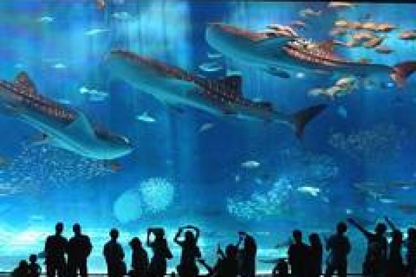 [ Churaumi Toku Toku 5 Pass Included ] Churaumi Aquarium + 4 facilities to choose from, let's drive to Yanbaru <2 nights ~>