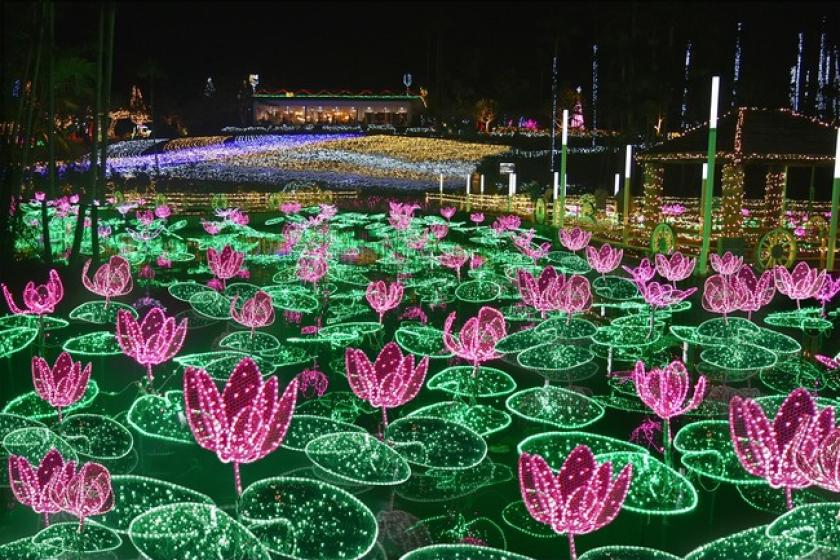 [◆Churayashi Park Okinawa・Southeast Botanical Garden◆] Tropical illuminations ☆ 1-Day pass included <2 nights or more>