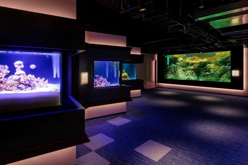 Experience and discovery! "Shikoku Aquarium ticket included" plan full of healing and romantic <room without meals>