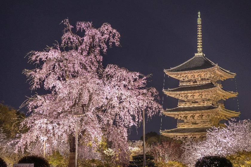 【早期割】春のご旅行を先行予約キャンペーン！早めの予約でおトクに京都旅！＜朝食ビュッフェ付＞