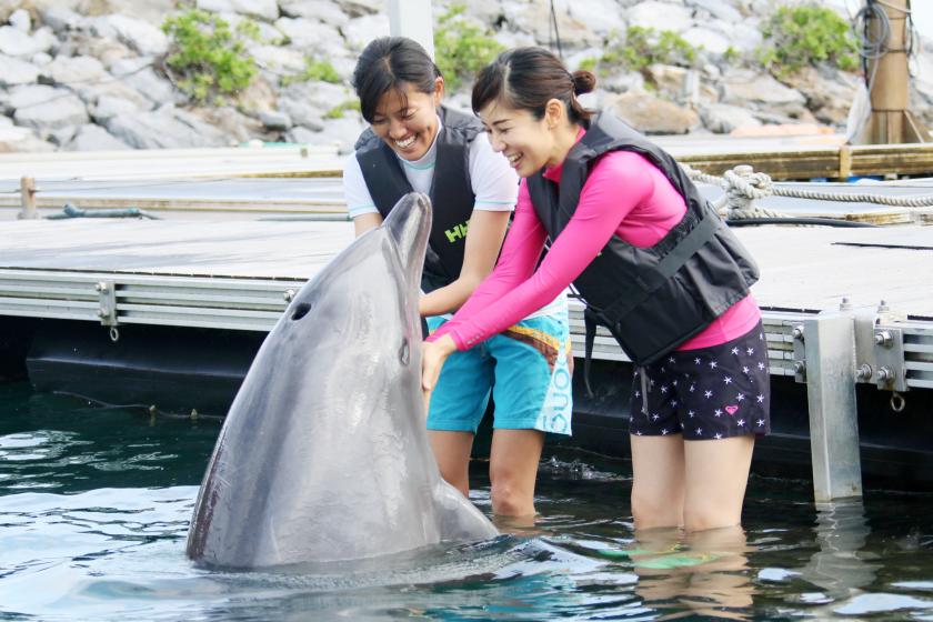 [Limited to 2 groups per day (up to 4 people per group)! ◆ Advance reservation 14:00 ◆] Dolphin Encounter Advance reservation ・ Program fee required separately ・ Optional purchase operation required <Breakfast included>