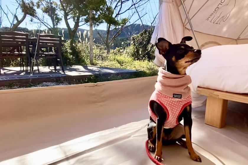 [You can stay with your dog] Winter glamping with your dog ♪ Hot pot plan in a tent (with dinner and breakfast)