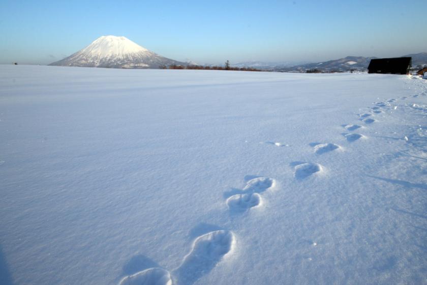 【冬旅応援！公式限定先行販売】2食つき★90日前早割でニセコの美食と雪景色を満喫♪＜温泉かけ流し＞