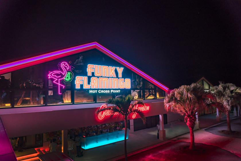 [2 meals included] Funky Flamingo LIVE & DINNER An intoxicating rocky night on Miyakojima