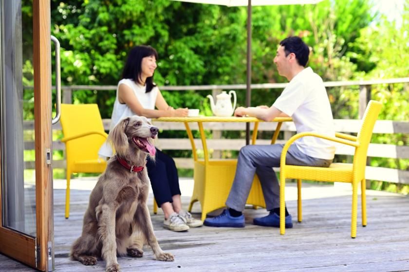 [Privilege for booking 90 days in advance] [Room with your dog] Stay elegantly with your dog in a luxury villa with a private terrace (with dinner and breakfast)
