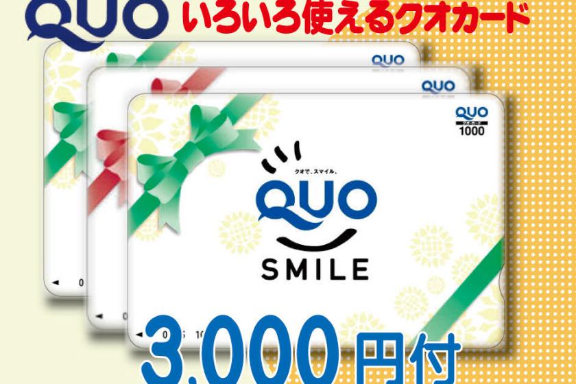 使用 3,000 日元 QUO 卡的計劃