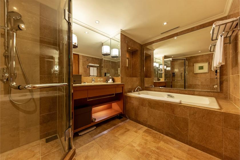 豪华尊贵双床间 - 浴缸、淋浴卫生间