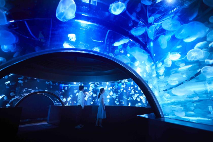 [Kyoto Aquarium admission ticket included] Potel, located along Umekoji Park and next to Kyoto Aquarium, has excellent access! ～Breakfast buffet included～