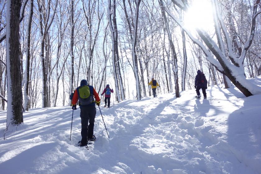 Madarao Kogen Snowshoe Hiking-Experience tour of a mysterious snow-covered forest (2 meals included)