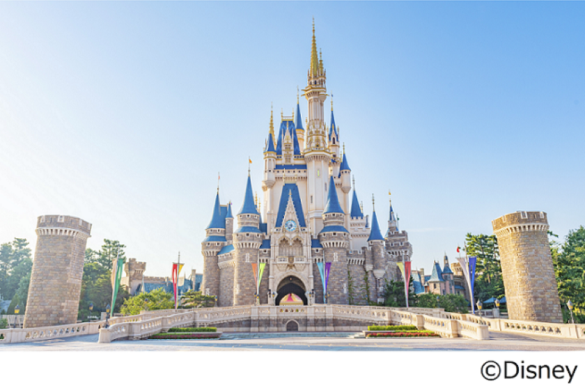[Check-in day admission] Tokyo Disneyland (R) 1-Day passport with 2 adults <Room Only>