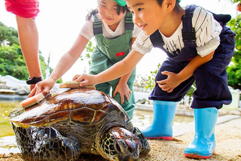 【早得60】幼児のお子様（3歳～5歳）添い寝無料！チャレンジクーポン対象＜夕朝食付＞