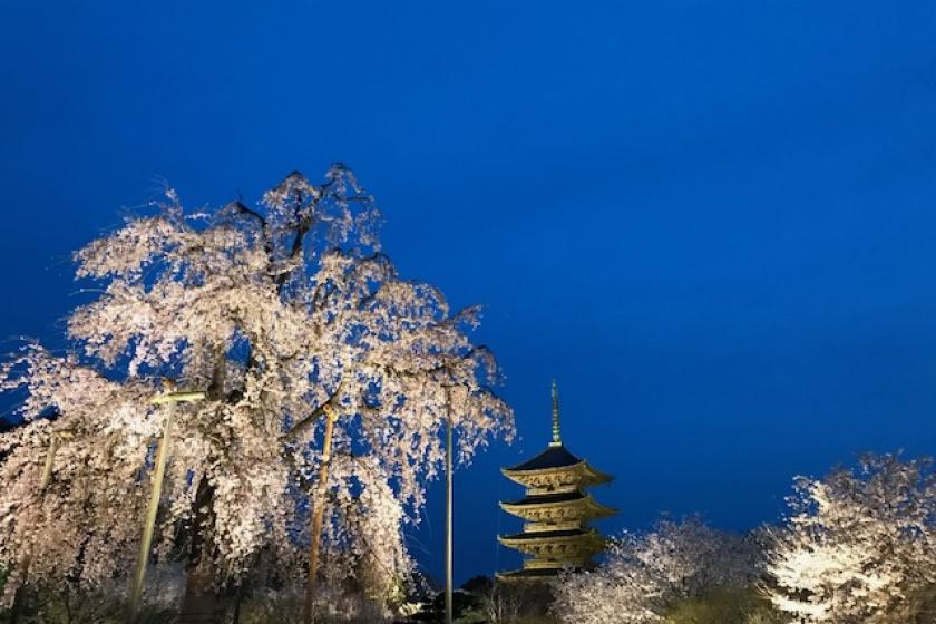 【桜咲く】春の京都旅・スマートで都会的な街並みと贅沢ホテルステイ　シンプルプラン（素泊り）