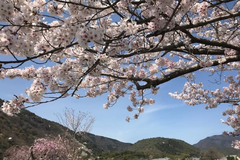 【桜咲く】春の京都旅・スマートで都会的な街並みと贅沢ホテルステイ　シンプルプラン（朝食付）