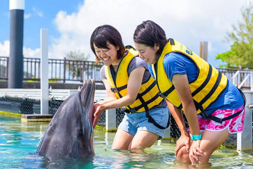 [Touch the cute dolphin ♪] Get 10% off when you book this plan at "Dolphin Encounter"! Comes with challenge coupons that can be used at activities and restaurants <Breakfast included>