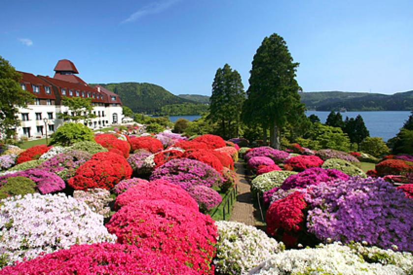 Mountain hotel "Azalea/Rhododendron garden" plan with admission ticket / breakfast included
