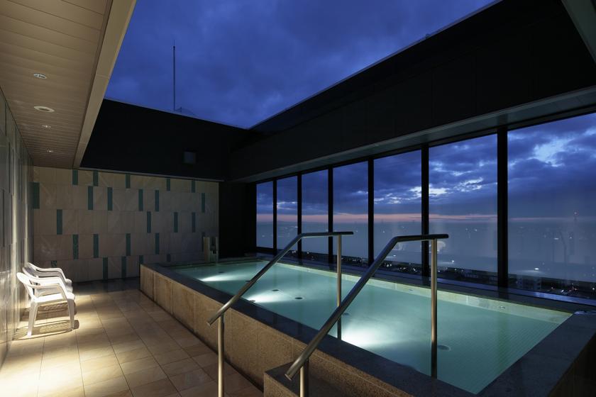 Relax and unwind in a sophisticated space while enjoying the sky spa on the top floor (room without meals)