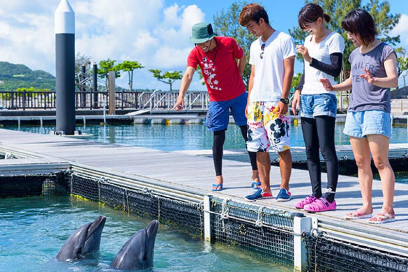 [May-June only] Thanks to you, the baby dolphin born at Genki Village has turned 3 years old. Come meet the baby dolphin "Temo"♪ Dolphin walking tour (practicing jumping and playing with things!) For a limited time only, infants can sleep for free and chi