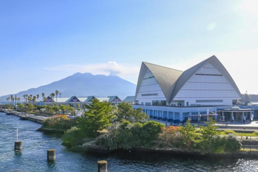 Includes a one-day admission voucher ★ Io World Kagoshima Aquarium 25th Anniversary Collaboration ★ Marine Room <Meals not included>