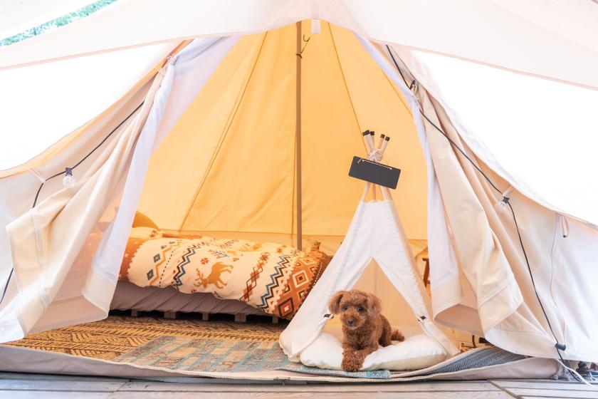 [和你的狗一起住]狗豪華露營帳篷|不含餐的無餐計劃