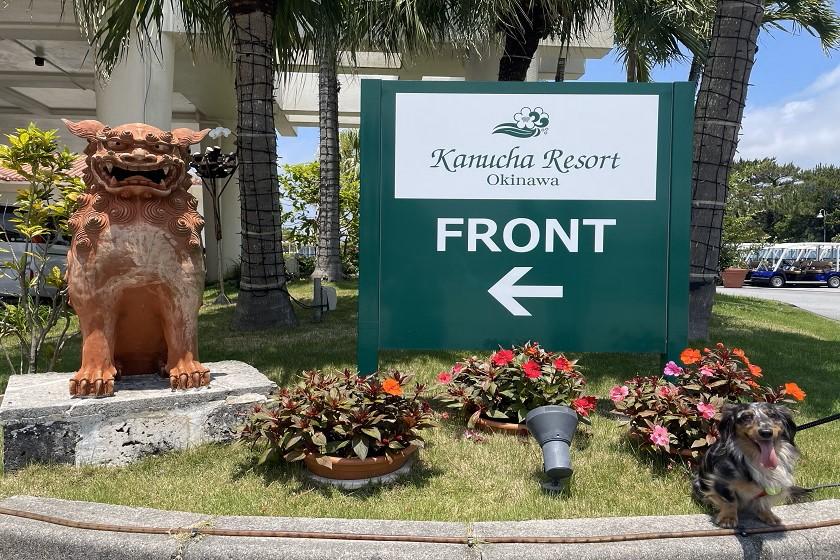 [Early reservation 90/Dog friendly room] A relaxing tropical resort stay with your dog <Breakfast and hotel voucher included>