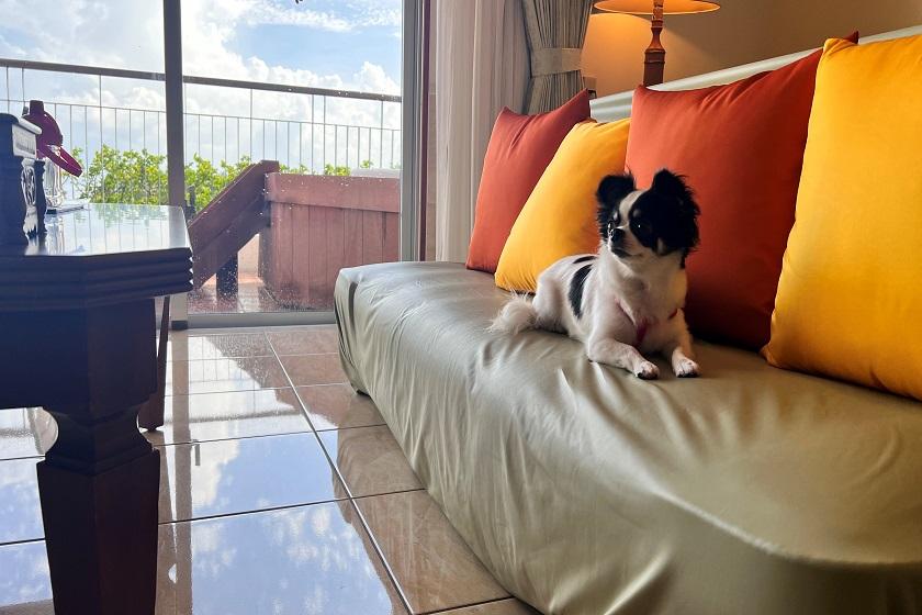 [Dog Friendly Room] A relaxing tropical resort stay with your dog <Breakfast included>