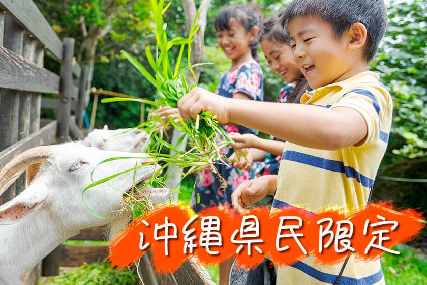 [Limited to Okinawa residents] 〇 Breakfast included 〇 You can play according to the number of tickets! Receive 4 challenge coupons <Free co-sleeping for infants>