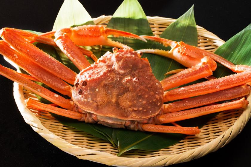 [Enjoy the taste of Hokuriku winter] One bowl of snow crab per person included