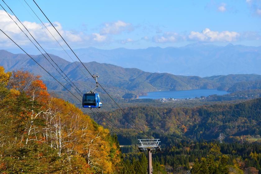 【紅葉シーズンの天空遊覧】妙高杉ノ原ゴンドラ往復券付きプラン＜2食付き＞