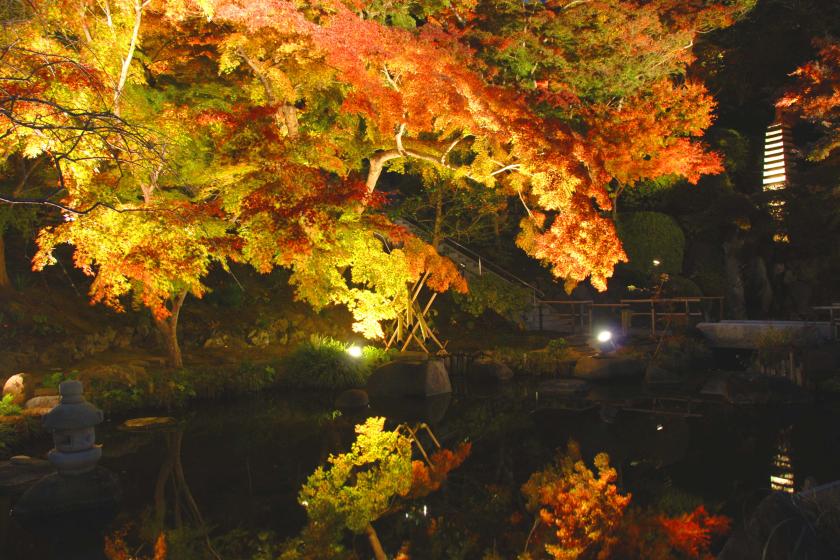 【暢遊鎌倉寺廟神社】含長谷寺門票的住宿方案～不含餐的房間～