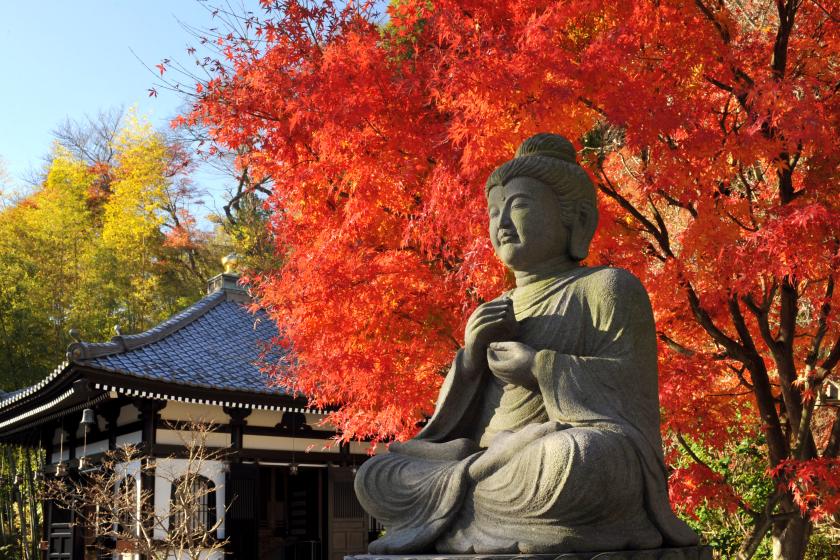 【暢遊鎌倉寺廟神社】含長谷寺門票的住宿方案～不含餐的房間～