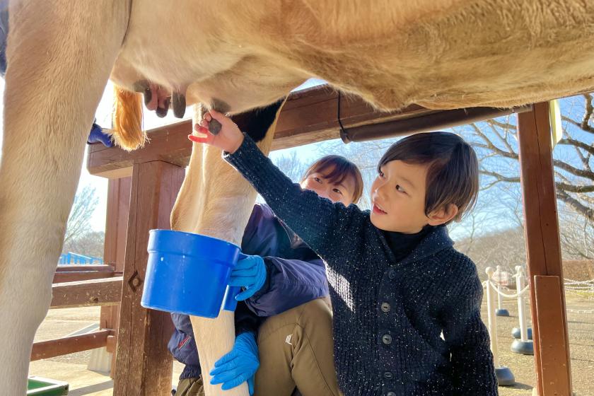 【牧場酪農体験リクエストプラン】成田ゆめ牧場での乳しぼり体験・収穫体験を楽しむ＜2食付＞