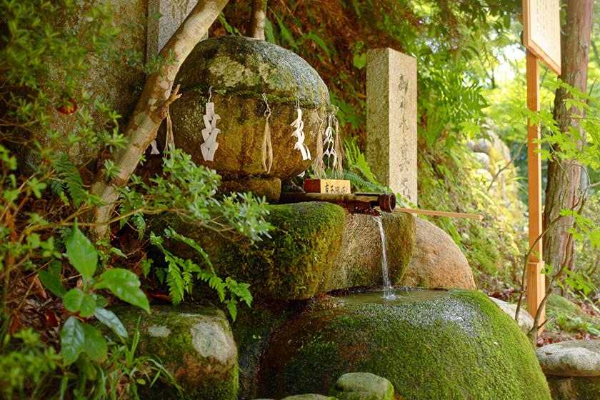 ◆温泉を愉しむ　一人旅にもおすすめ　山の井1泊素泊りプラン　(素泊り)