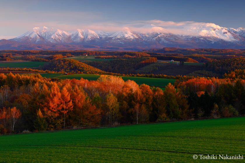 "Solo Stay in Furano" - A relaxing plan for a relaxing stay in Furano (welcome drink and breakfast included)