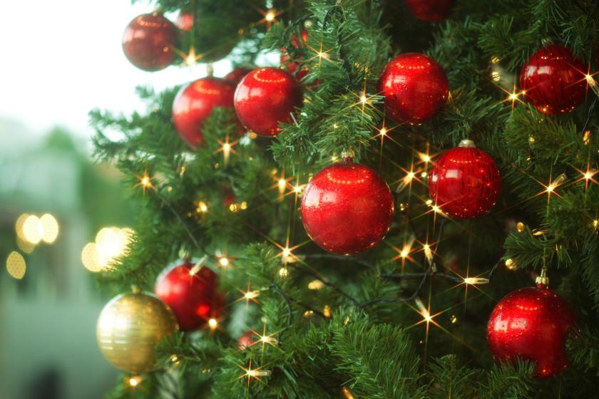 【12/25限定】Happy Christmas Night～ディナーブッフェ付きプラン～
