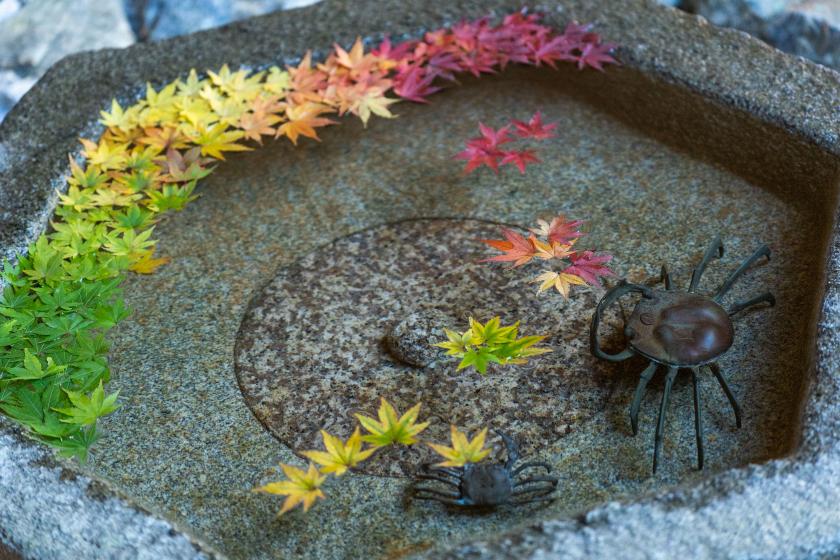 【一条恵観山荘入園チケット】色鮮やかな紅葉散策と花手水を楽しむ大人の鎌倉時間【朝食無料】