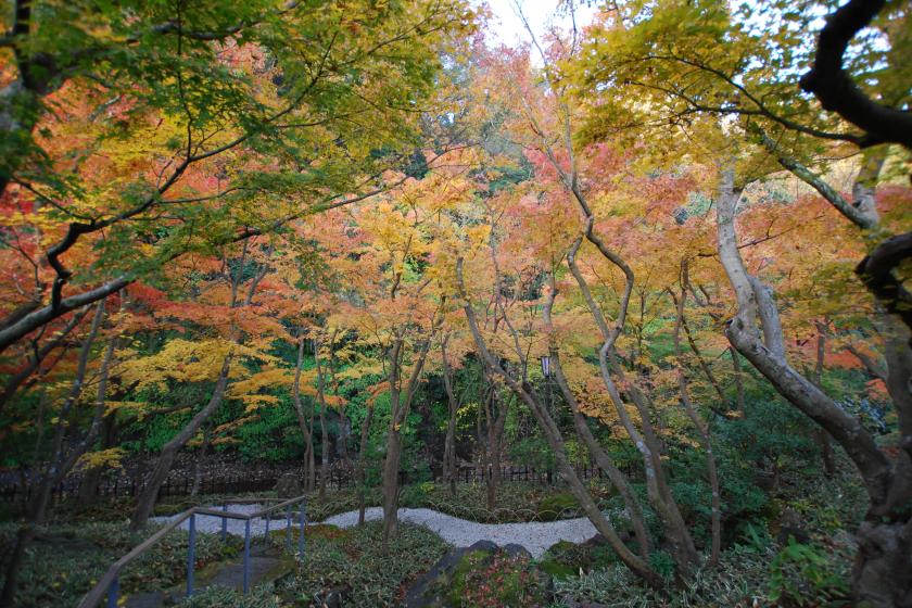 【一条恵観山荘入園チケット】色鮮やかな紅葉散策と花手水を楽しむ大人の鎌倉時間【朝食無料】