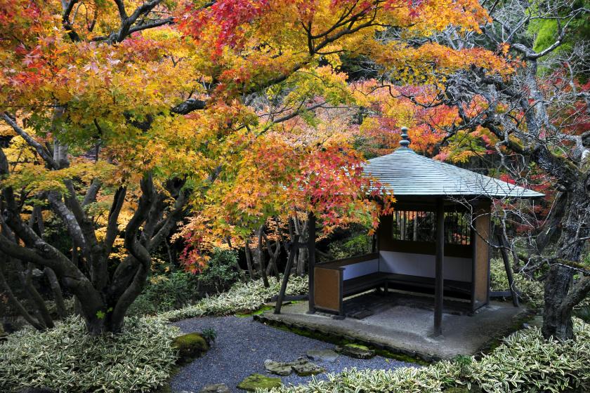 【一条恵観山荘入園チケット】色鮮やかな紅葉散策と花手水を楽しむ大人の鎌倉時間【朝食無料】