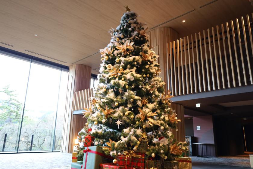 【冬旅/夕食前半】冬のぬくもり温泉クリスマス～ユネッサンでアクティブ、森の湯でほっこり～