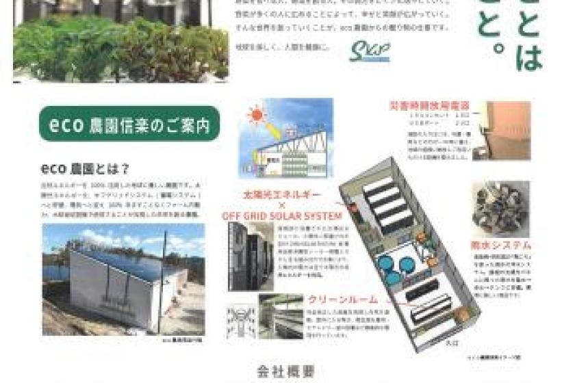 「SDGｓを体験　ＥＣＯ農園見学　水耕栽培健康サラダ収穫体験」天然温泉＆焼きたてパン朝食ビュッフェ付