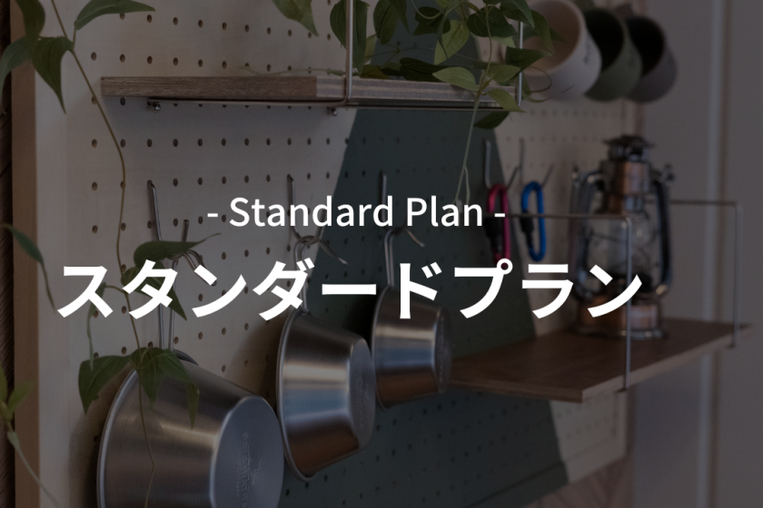 standard plan 