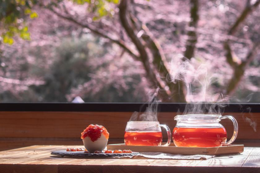 [Cherry blossom season only] Relaxing cherry blossom viewing stay on the spring cherry blossom terrace | Dinner/breakfast + cherry blossom viewing (afternoon/bar) set included