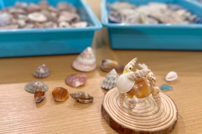 [Local payment] April 13th only◆TOSASHIMIZU CAMP+1 plan [Experience making objects with gifts from the sea]